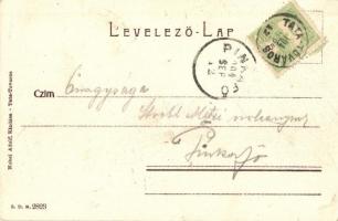 1904 Tata, Hotel Esterházy szálloda. Nobel Adolf kiadása (felületi sérülés / surface damage)