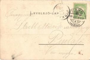 1908 Paks, Szentháromság tér és szobor. Wiener Hajman kiadása (felületi sérülés / surface damage)