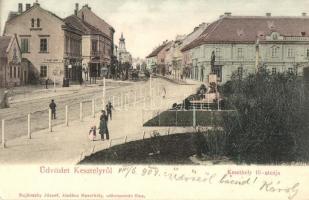 1904 Keszthely, Fő utca, Balatoni Múzeum Egyesület, M. kir. posta és távirda hivatal, Gyógyszertár, Pler Lipót üzlete, Gróf Festetics szobor. Sujánszky József kiadása (EK)