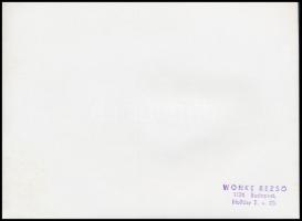 Weöres Sándor (1913-1989), Károlyi Amy (1909-2003), más írók társaságában. Wonke Rezső pecséttel jel...