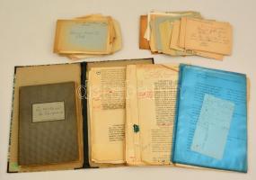 cca 1950 A Herendi és a Hollóházi porcelángyár, valamint a magyar porcelánipar történetéről írt könyvhöz készített jegyzetek kéziratok, valamint filmterveket tartalmazó gyűjtemény. Gépiratok, kézzel írt kártyák, részben Herendi levélpapíron.