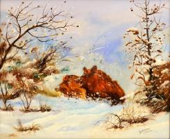 Sztopka Anna (1950-): Vaddisznók. Olaj, farost, jelzett, fa keretben, 39×49 cm