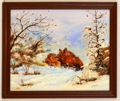 Sztopka Anna (1950-): Vaddisznók. Olaj, farost, jelzett, fa keretben, 39×49 cm