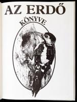 Barbara Cork-Helen Gilks: Az erdő könyve. Fordította: Méry Zsuzsa. Usborne Természetbúvár könyvek. B...