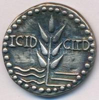 Olaszország 1995. ICID-CIID / Róma jelzett Ag emlékérem (13,5g/29mm) T:2 Italy 1995. ICID-CIID / Rome hallmarked Ag commemorative coin (13,5g/29mm) C:XF