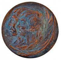 1980. "Felszabadulási Nemzetközi Műkorcsolya Verseny Székesfehérvár / Alba Regia" Br plake...