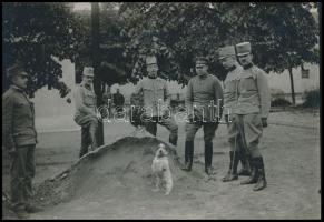cca 1914-1918 Osztrák-magyar és német tisztek kutyával, fotó, 11,5×17 cm