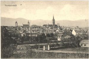 1909 Nagyszeben, Hermannstadt, Sibiu; Látkép / general view