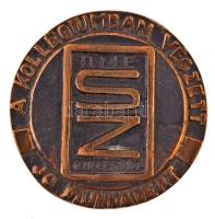 DN "BME Kollégium - A kollégiumban végzett jó munkádért / Schönherz 1905-1942" fém plakett...