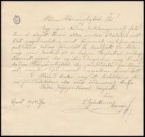 1924 Kormánybiztosnak címzett, kézzel írt levél, 16x17 cm