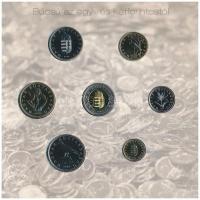 2008. 1Ft-100Ft (7xklf) "Búcsú az egy- és kétforintostól" forgalmi sor dísztokos szettben ...