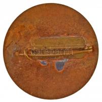 1966. "Ráckevei Horgász Egyesület 25 éves" aranyozott zománcozott fém jelvény (35mm) T:2 k...