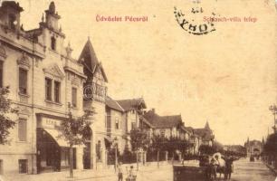 1906 Pécs, Schlauch-villa telep, W. L. 960. (EK)