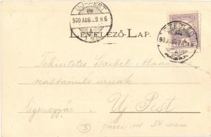 1900 Cegléd, Népkert, park. Piros I. kiadása