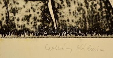 Csohány Kálmán (1925-1980): Szárnyak. Rézkarc, papír, jelzett, 39×29 cm