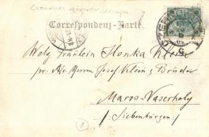 1904 Chernivtsi, Czernowitz, Cernauti; Gyógyszertár belső, patikus / pharmacy interior, apothecary. ...