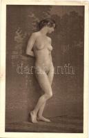 Erotic art postcard, nude lady, photo A. Cobé (EK)