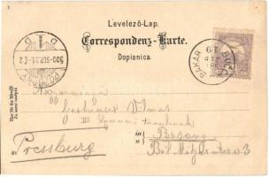 1900 A Magyar-Horvát Tengeri Gőzhajózási Rt. "Liburnia" egycsavaros tengeri személyszállít...