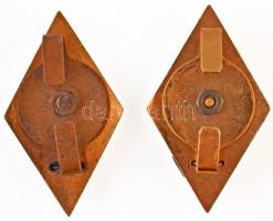 ~1960-1970. "Rendőrtiszti Főiskola" zománcozott fém jelvény + "Rendőrtiszti Akadémia&...