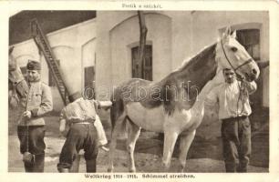 Weltkrieg 1914-1915. Schimmel streichen / Festik a szürkét / WWI Austro-Hungarian military, soldiers paint the horses camouflage