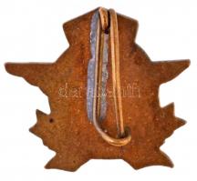 DN "Csepel 250 - Pannonia" zománcozott fém jelvény (19x17mm) T:2