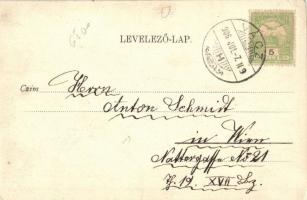 1906 Vác, Széchenyi utca, Fonciere Pesti Biztosító Intézet fiókja, Lapáti üzlete (EK)