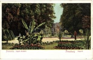 1908 Pozsony, Pressburg, Bratislava; Ligeti díszkert / park garden