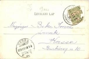 1905 Szántó, Santovka; Szántói savanyúvíz forrás, Pavilon a forrás felett. Divald Károly kiadása. Mi...