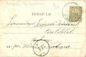 1905 Szántó, Santovka; Szántói savanyúvíz forrás, Rakodóhely, szekerek. Divald Károly kiadása / mine...