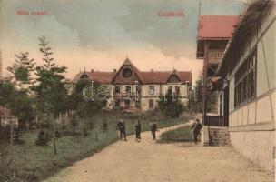 1910 Csízfürdő, Kúpele Ciz; Milán nyaraló, vadászok / villa, hunters