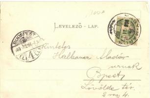 1903 Nagymaros, Diófa utca, Dr. Hattyasi villa, Rosse villa, István tér, Heppert Ignácz üzlete. Ifj....