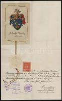 1905 A boronkai Boronkay család címerleírása és nemesség igazolása