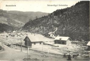 Szomolnok, Schmölnitz, Smolnik; Bekenvölgyi fűrésztelep. Fried József kiadása / sawmill (EK)