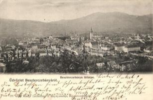 Besztercebánya, Banská Bystrica; látkép. Kiadja Lechnitzky O. 177. / general view (EK)