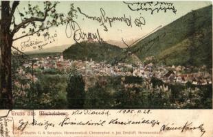 1905 Kisdisznód, Michelsberg, Cisnadioara; látkép, templom, vár. G. A. Seraphin, Jos. Drotleff kiadása / general view, church, castle (EK)