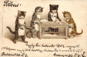 1899 Cats cooking, Wezel & Naumann Serie 28. No. 3. litho (EK)