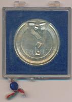 Lapis András (1942-) 1979. "Az ár betört! 1879 Március 12 éjfél után 2 óra - Száz évvel ezelőtt...