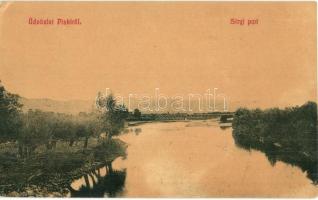 Piski, Simeria; Sztrigy folyó partja vasúti híddal. W. L. 3134. / Strei riverbank with railway bridge (EK)