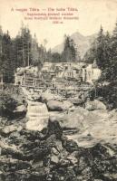 1909 Tátra, Nagytarpatak középső vízesés, Divald Károly / waterfall (EK)