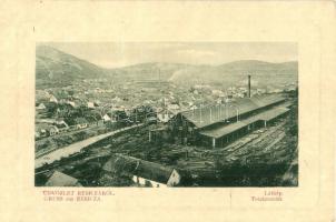 Resicabánya, Resita; látkép, fűrésztelep. W. L. Bp. 137. / general view, sawmill (fa)