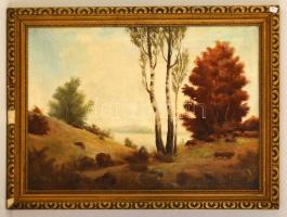 Borbély Imre (?-?): Dombos táj, olaj, vászon, jelzett, sérült fa keretben, 48×68 cm