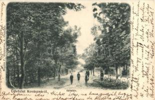 1905 Kovászna, Covasna; Sétatér. Bogdán F. fényképész / promenade (EK)