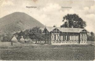 1907 Nagybánya, Baia Mare; Kereszthegy, ház. Rózsa Simon kiadása / house (EK)