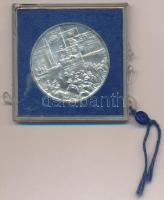 1979. "A Magyar Tanácsköztársaság 60. évfordulója emlékére 1919-1979" Ag emlékérem, jelzet...