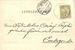 1905 Sztojkafalva, Sztójka, Stoiceni; Üdvözlet Sztojkáról! Forrás ház, nyaraló. Sztojkai ásványvíz r...