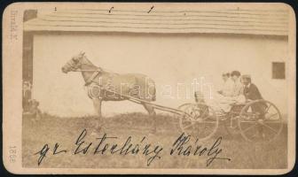 1868 Gróf Esterházy Károly (1847-1881) főrendiházi tag lovas kocsin, keményhátú fotó Divald Károly műterméből, 6×10 cm