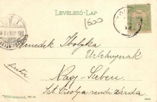 1905 Kolozs, Cojocna; Hideg tükör fürdő, fürdőzők / cold bath, spa, bathing people (EK)