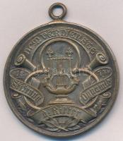 DN "IN ARTE VOLUPTAS - SCHLARAFFIA / DEM VERDIENSTE" ezüstözött Br érem füllel, mellszalag...