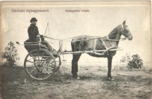 1913 Nyíregyháza, taligás, Ferenczi-féle könyvkereskedés kiadása