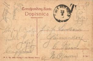 Doboj, Totalansicht / general view, mosque. W. L. Bp. 4920. Verlag v. Joh. Streitz (EK)